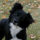 Lydia was adopted in November, 2004